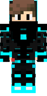 Bedwars_Destructer