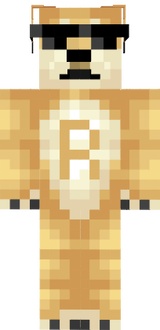 Doge Read
