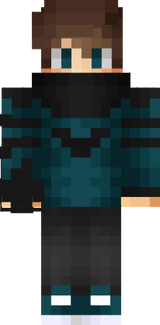skin