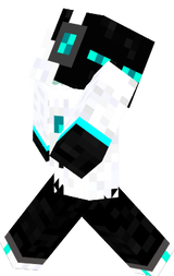 Neto