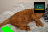 stinky cat fart
