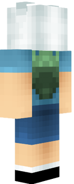 Fin