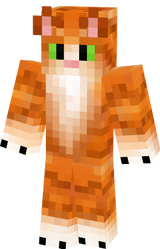 skin minecraft