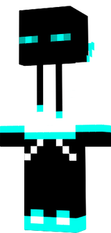 Enderstiv63