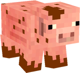 Muddy pig 4