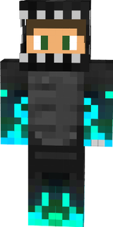se2
