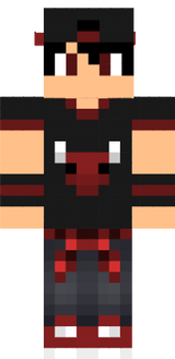 skin\