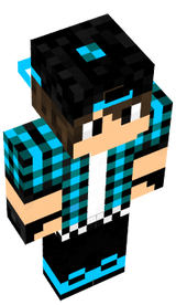 skin