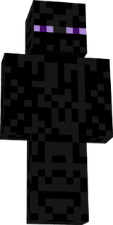 edeman 13