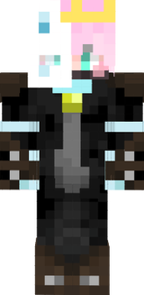 minecraft cat boy crown
