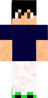 Diniz11