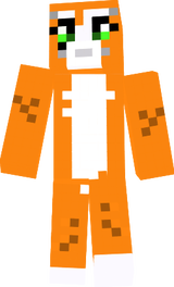 Mr.Stampy Cat