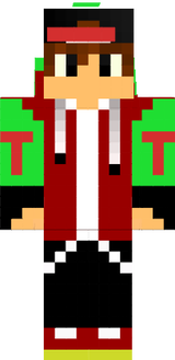 skin