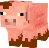 muddypig1