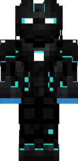 1skin