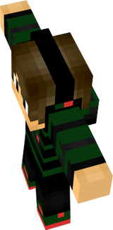 skin