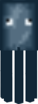 Squid
