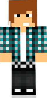 c4dskin.png