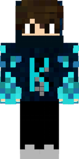 wd