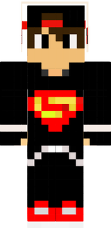 skin
