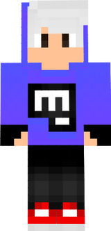 TazerCraft2