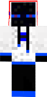 TheEnderMiner