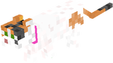 Paches