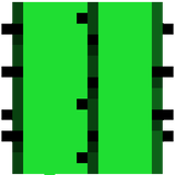 cactus.json