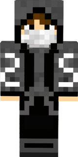 Skajpik