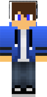 Hoodie skin