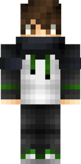 blixtsnabbt