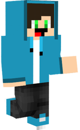 dfsgas