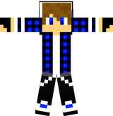 steve