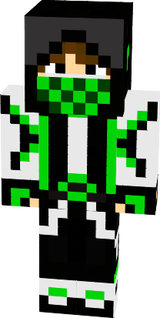 skin