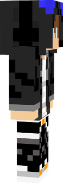 MCharizardX-Skin