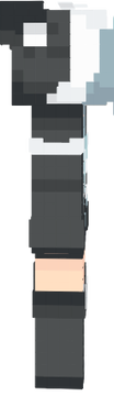 1.10 skin