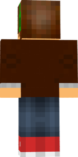 Ringo12345