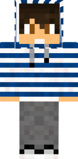 skin
