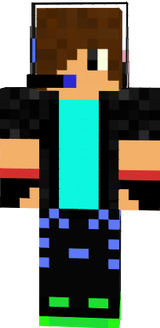 Skin
