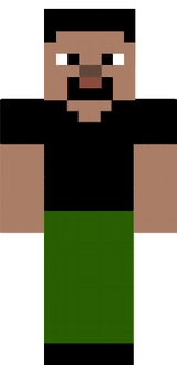  new steve