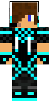 skin