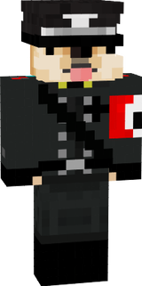 Dont copy my flow but nazi doge