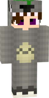 SSamflash3