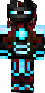 DSS