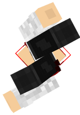 DysneyService