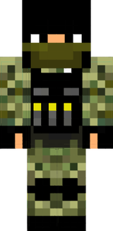 skin