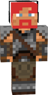 viking skin