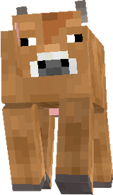 Jersey Cow