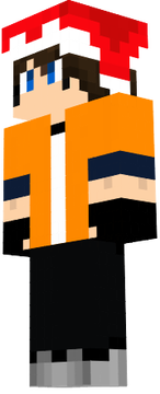 LeimeR скин