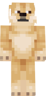 rauprigui
